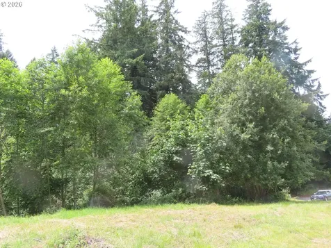 Coleman Road Mossyrock WA 98564