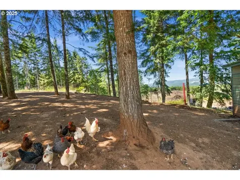 50769 NW Gheen Road Manning OR 97125