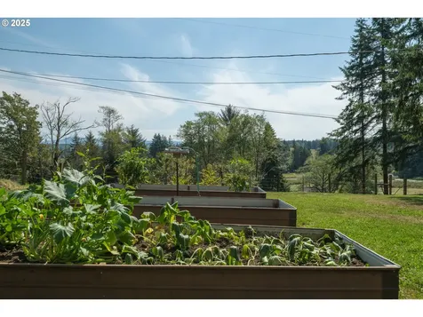 35443 Wiley Lane Astoria OR 97103