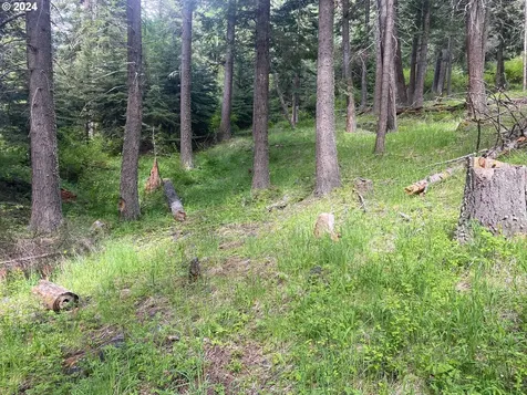 0 Tram Lane Wallowa Lake OR 97846