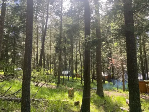 0 Tram Lane Wallowa Lake OR 97846