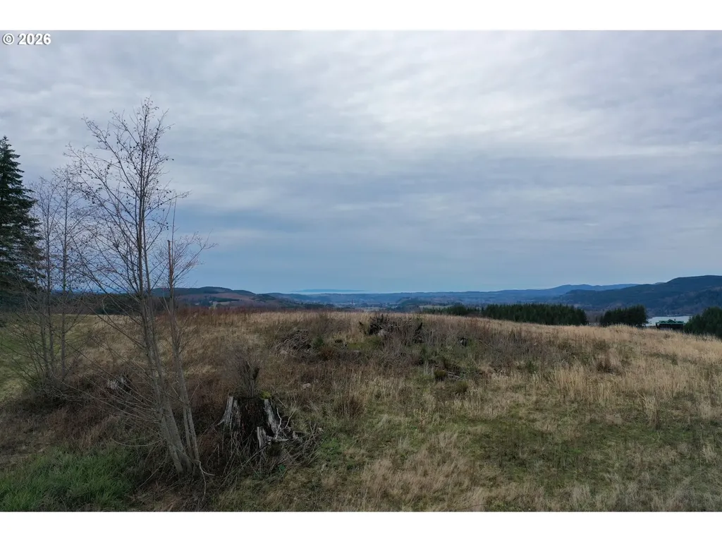 004 Hagen Road Mossyrock WA 98564