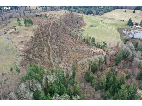 004 Hagen Road Mossyrock WA 98564