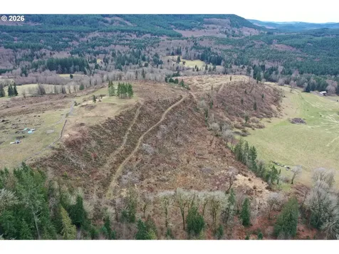 004 Hagen Road Mossyrock WA 98564