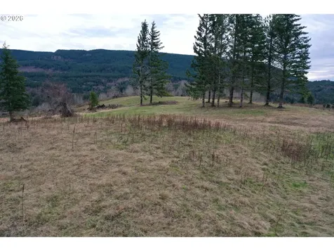004 Hagen Road Mossyrock WA 98564