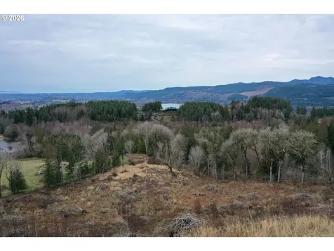 004 Hagen Road Mossyrock WA 98564