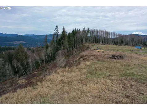 004 Hagen Road Mossyrock WA 98564