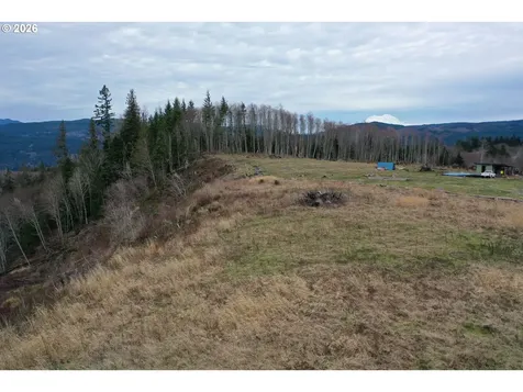 004 Hagen Road Mossyrock WA 98564