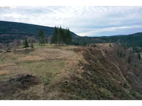 004 Hagen Road Mossyrock WA 98564