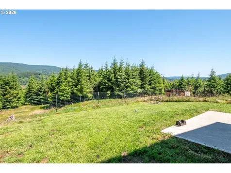 327 Parpala Road Naselle WA 98638
