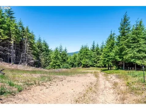 327 Parpala Road Naselle WA 98638
