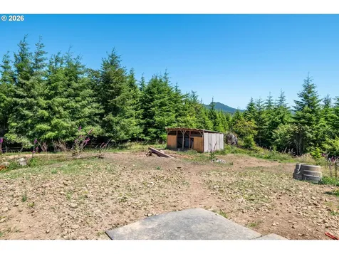 327 Parpala Road Naselle WA 98638