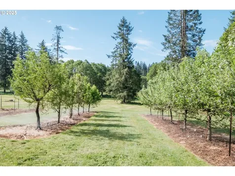 40712 Lacomb Drive Lebanon OR 97355
