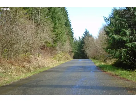 20817 NE Yacolt Mountain Road Yacolt WA 98675