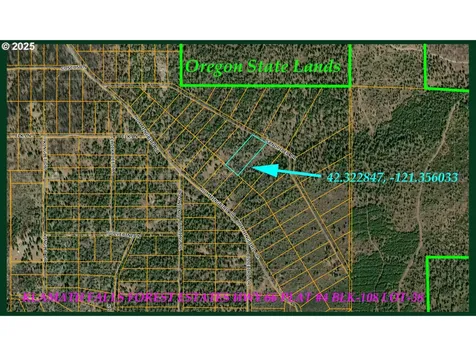 Sandpiper Drive Beatty OR 97621