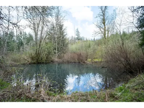 30607 NE 271st Street Yacolt WA 98675