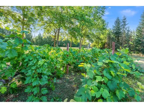 7170 SW Norwood Road Tualatin OR 97062