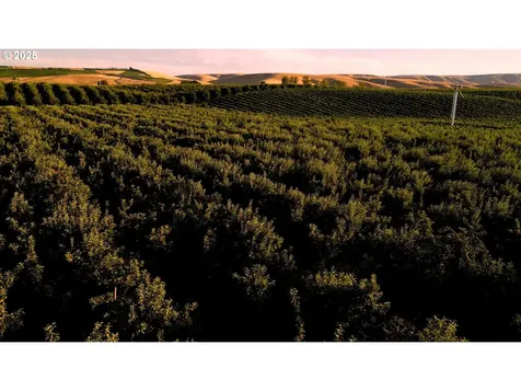 129650 Edwards Road Milton-freewater OR 97862