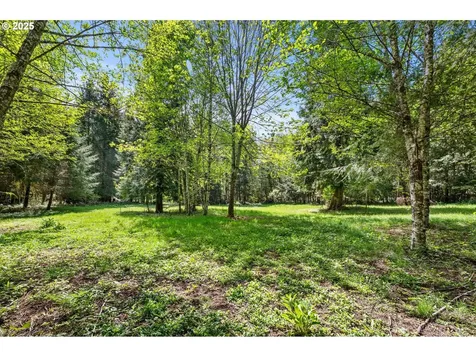 30839 NW Highway 47 Buxton OR 97109