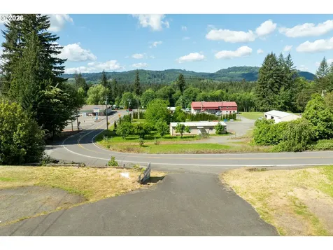39618 NE 216th Avenue Amboy WA 98601