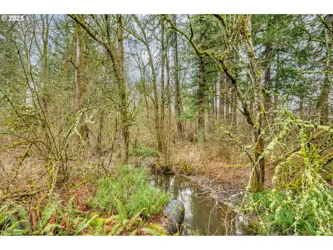 3822 SE 189th Avenue Vancouver WA 98683