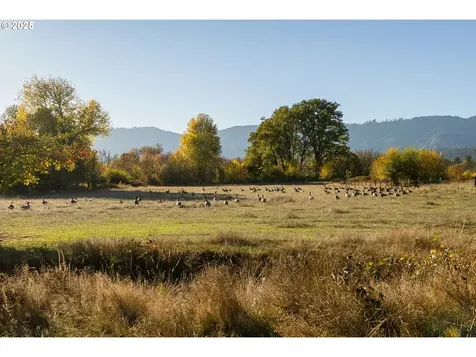 19115 Highway 42 Camas Valley OR 97416