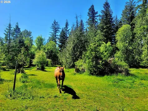 632 Meier Road Winlock WA 98596