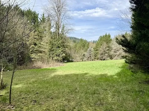 814 NW Pleasant View Drive La Center WA 98629