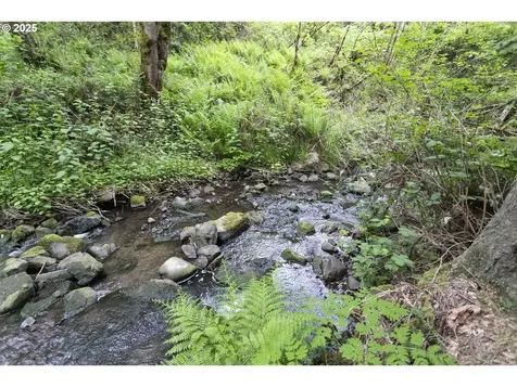 276 Champion Road Kalama WA 98625