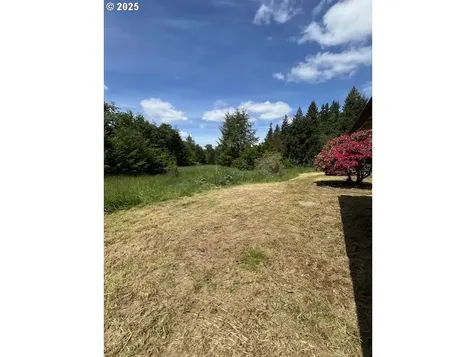 73927 Alder Grove Road Clatskanie OR 97016