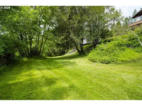 132 Cougar Creek Road Oakland OR 97462