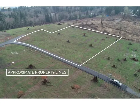 238 Ash Mountain Drive Castle Rock WA 98611