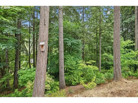 3026 Hendricks Hill Drive Eugene OR 97403