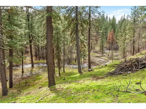 36 Wooded Lane Goldendale WA 98620