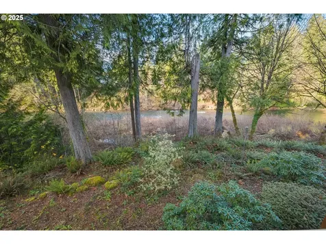 31 Kingfisher Lane Washougal WA 98671