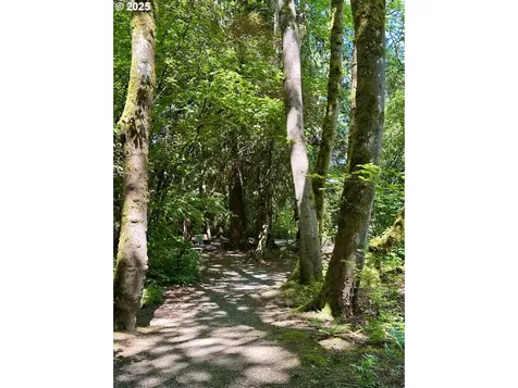7102 SW 78th Avenue Portland OR 97223