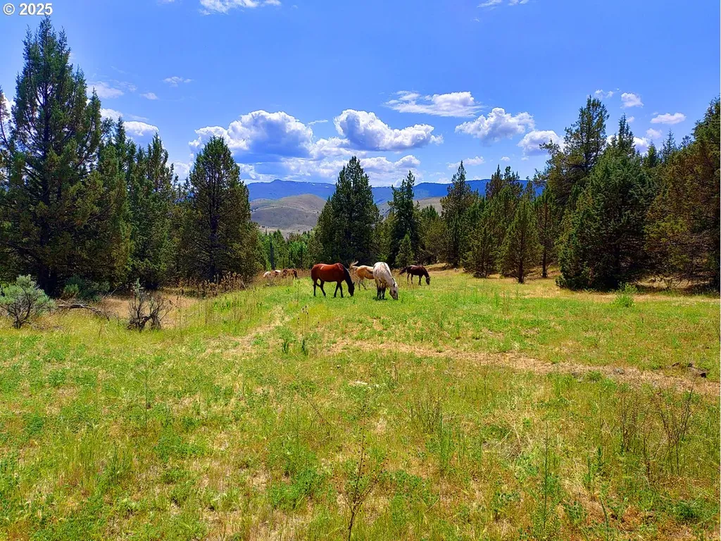 Wiley Creek Road Dayville OR 97825
