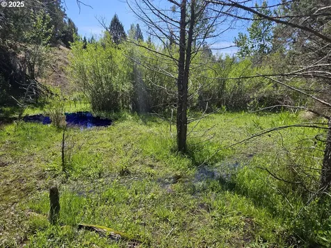Wiley Creek Road Dayville OR 97825