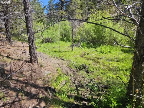 Wiley Creek Road Dayville OR 97825