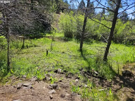 Wiley Creek Road Dayville OR 97825