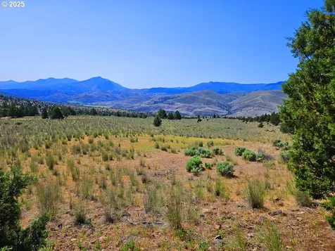 Wiley Creek Road Dayville OR 97825