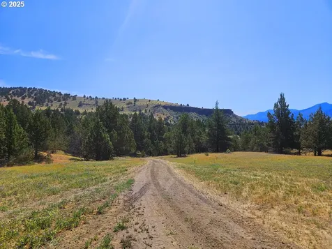 Wiley Creek Road Dayville OR 97825