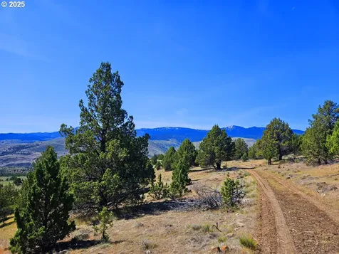 Wiley Creek Road Dayville OR 97825