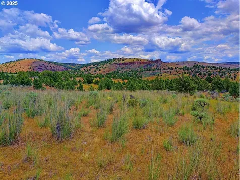 Wiley Creek Road Dayville OR 97825