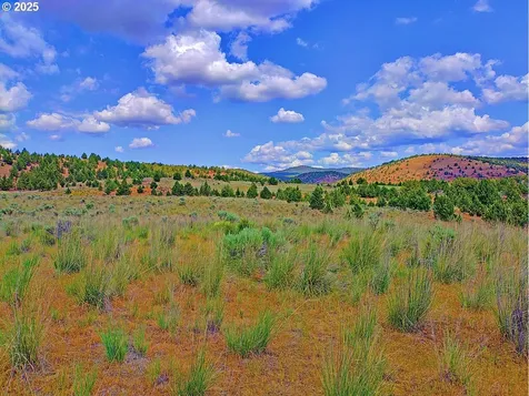 Wiley Creek Road Dayville OR 97825