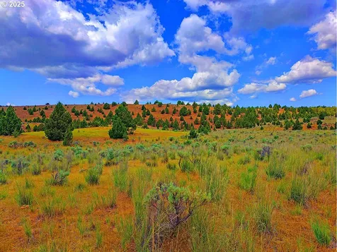 Wiley Creek Road Dayville OR 97825