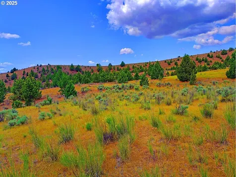 Wiley Creek Road Dayville OR 97825