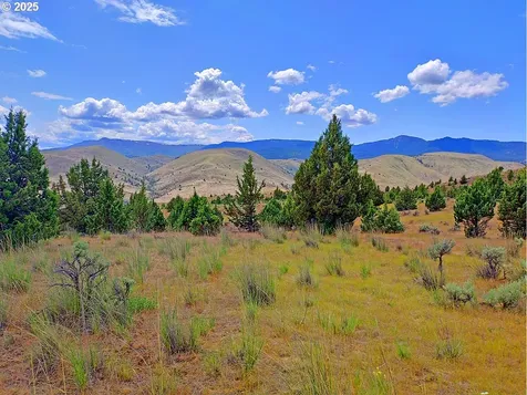 Wiley Creek Road Dayville OR 97825