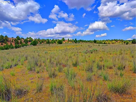 Wiley Creek Road Dayville OR 97825