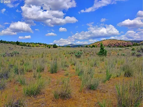 Wiley Creek Road Dayville OR 97825